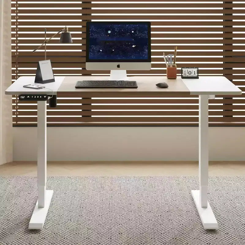 MAYEERTY Double Beam Single Motor 55 Electric Standing Desk Height Adjustable Desk for Home and Office Desk Frame with Sliced Board Natural and White