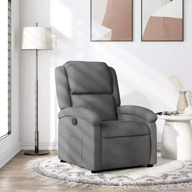 vidaXL Recliner Chair Wingback Reclining Push Armchair for Elderly Fabric - Dark Gray Manual Push Back No Massage